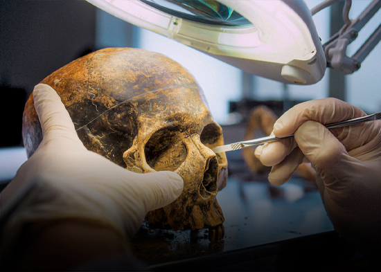 Una intoxicación durante millones de años pudo haber influido en el cerebro de los humanos modernos