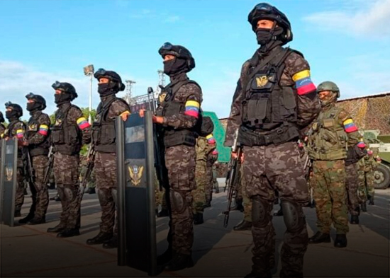 La Fuerza Armada intercepta e inmoviliza una aeronave “hostil” en el suroeste de Venezuela