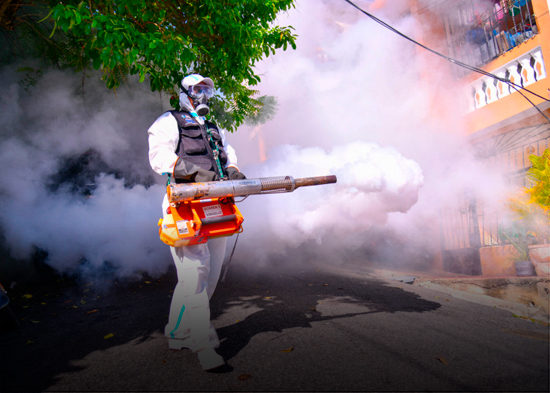 República Dominicana registra 31 casos de dengue en lo que va de 2026