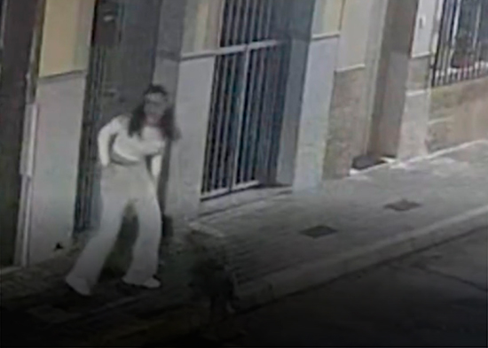 Así un perro logra frustrar el secuestro de su dueña (VIDEO)