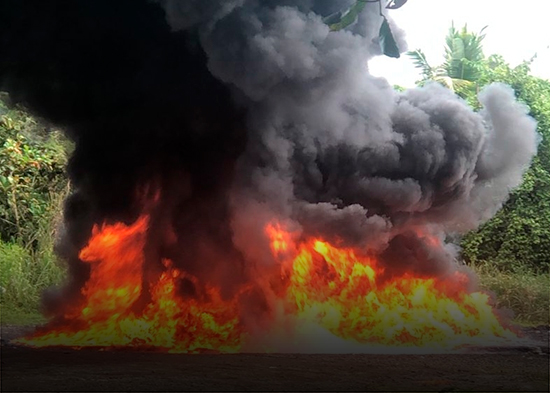 Inacif incinera 2 toneladas de varias drogas