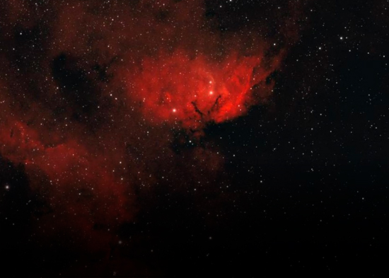 FOTOS: Roscosmos muestra 'flores' espaciales la víspera del Día Internacional de la Mujer