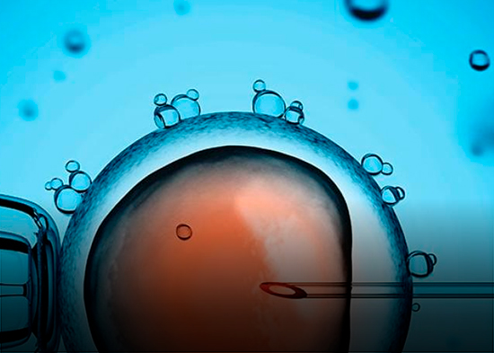 La congelación de óvulos preserva la fertilidad en mujeres a partir de los 35 años, según ginecóloga