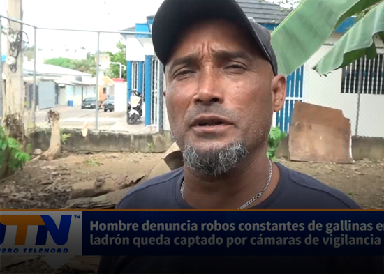 Hombre denuncia robos constantes de gallinas en SFM; ladrón queda captado por cámaras de vigilanc
