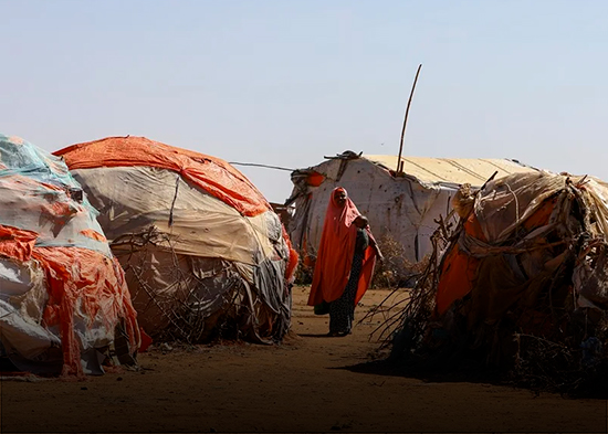 ONU: El hambre afecta a 645 millones de personas en el mundo, aunque se redujo en 2025