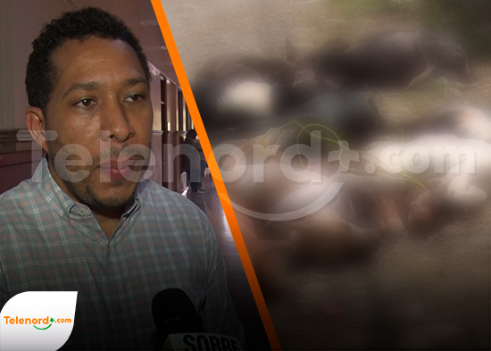 Abogados explican sanciones podría enfrentar responsable de la matanza de perros en Las Guázumas