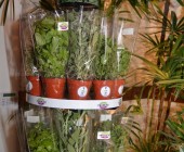 Telenordcomdo00012 Telenordcomdo00012