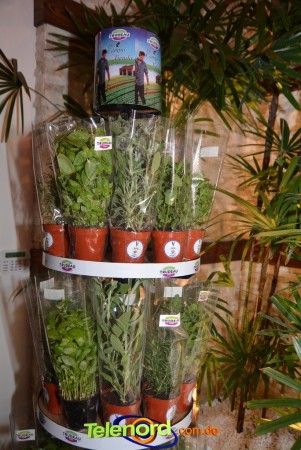 Telenordcomdo00012 Telenordcomdo00012