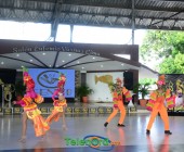 DSC 6596 DSC 6596