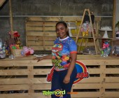 Telenordcomdo00013 Telenordcomdo00013