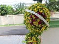 Image00001 Image00001