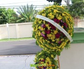 Image00001 Image00001