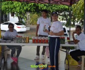 Telenordcomdo00228 Telenordcomdo00228