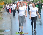 Telenordcomdo00262 Telenordcomdo00262