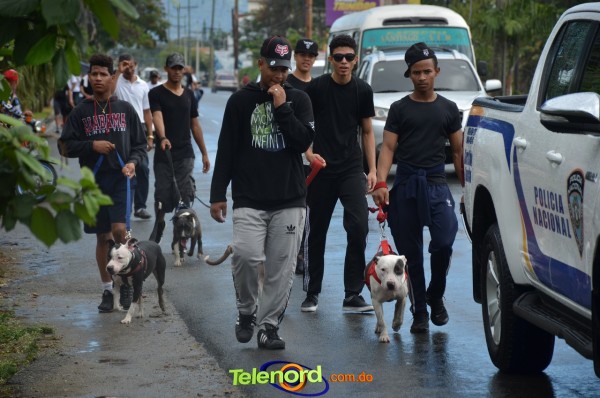 Telenordcomdo00294 Telenordcomdo00294