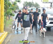 Telenordcomdo00296 Telenordcomdo00296