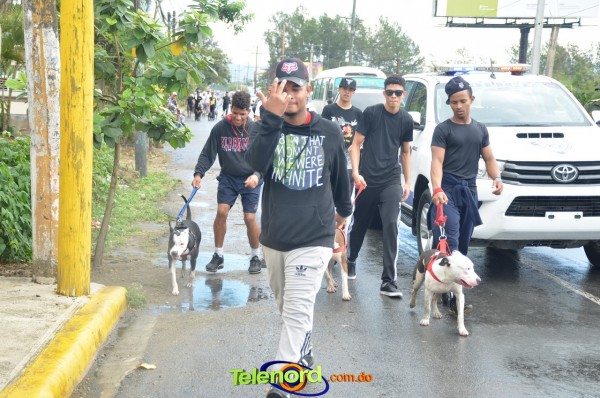 Telenordcomdo00296 Telenordcomdo00296