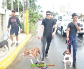 Telenordcomdo00298 Telenordcomdo00298