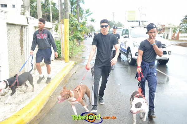 Telenordcomdo00298 Telenordcomdo00298