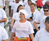 Telenordcomdo00031 Telenordcomdo00031