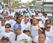 Telenordcomdo00035 Telenordcomdo00035