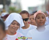 Telenordcomdo00116 Telenordcomdo00116