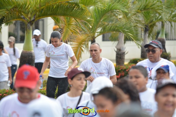 Telenordcomdo00135 Telenordcomdo00135