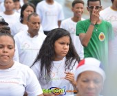 Telenordcomdo00180 Telenordcomdo00180