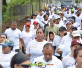 Telenordcomdo00203 Telenordcomdo00203