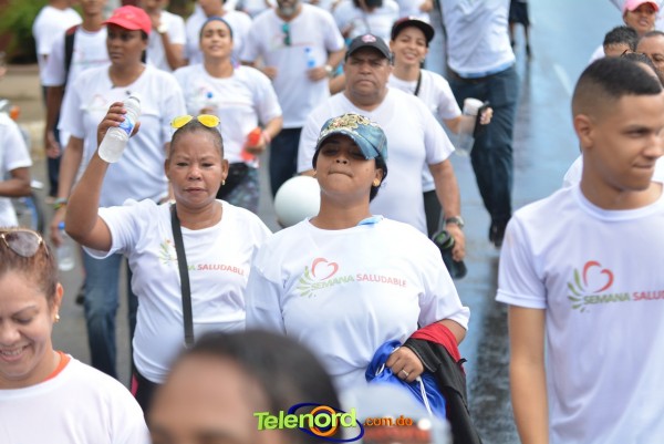 Telenordcomdo00219 Telenordcomdo00219