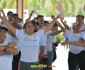 Telenordcomdo00294 Telenordcomdo00294