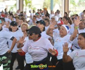 Telenordcomdo00314 Telenordcomdo00314