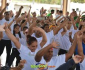 Telenordcomdo00365 Telenordcomdo00365