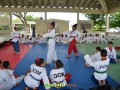 Image00048 Image00048