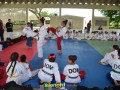 Image00050 Image00050