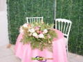Image00007 Image00007