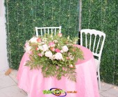 Image00007 Image00007