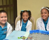 Image00011 Image00011