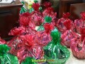 Image00008 Image00008
