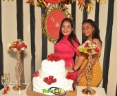 Telenordcomdo00003 Telenordcomdo00003