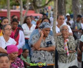 Image00161 Image00161