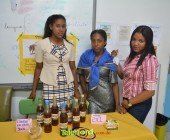 Telenordcomdo00009 Telenordcomdo00009