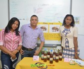 Telenordcomdo00035 Telenordcomdo00035