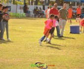 Telenordcomdo00006 Telenordcomdo00006