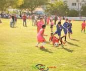 Telenordcomdo00009 Telenordcomdo00009