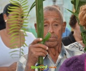 Image00017 Image00017