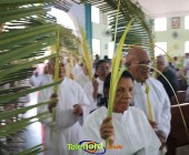 Image00037 Image00037