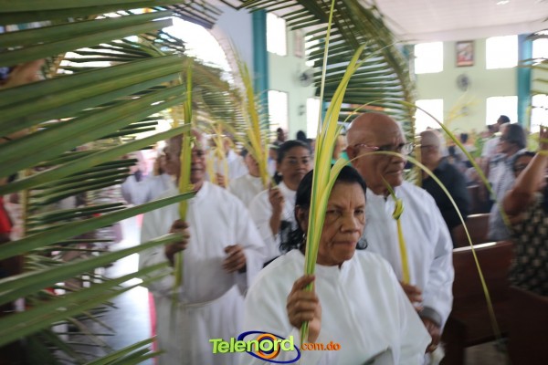 Image00037 Image00037