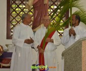 Image00059 Image00059