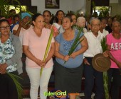 Image00062 Image00062